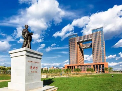 大师兄！别走！！！